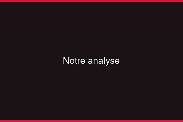 Notre analyse